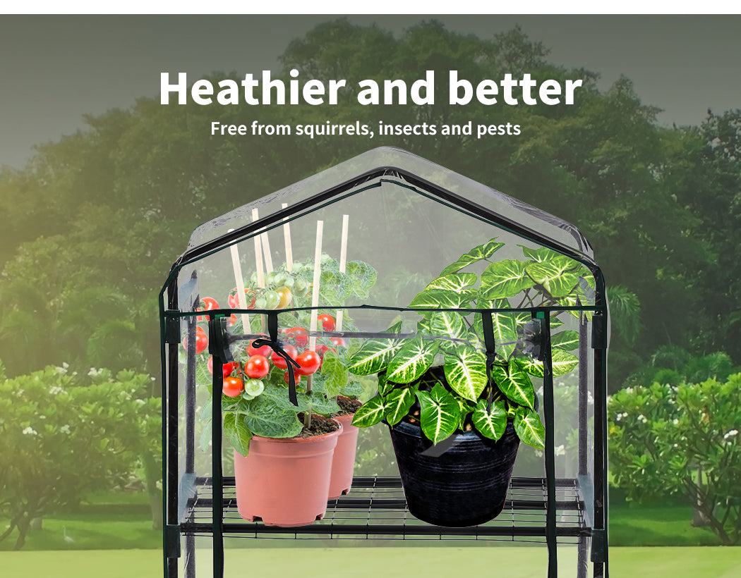 Mini Greenhouse Green House Garden.