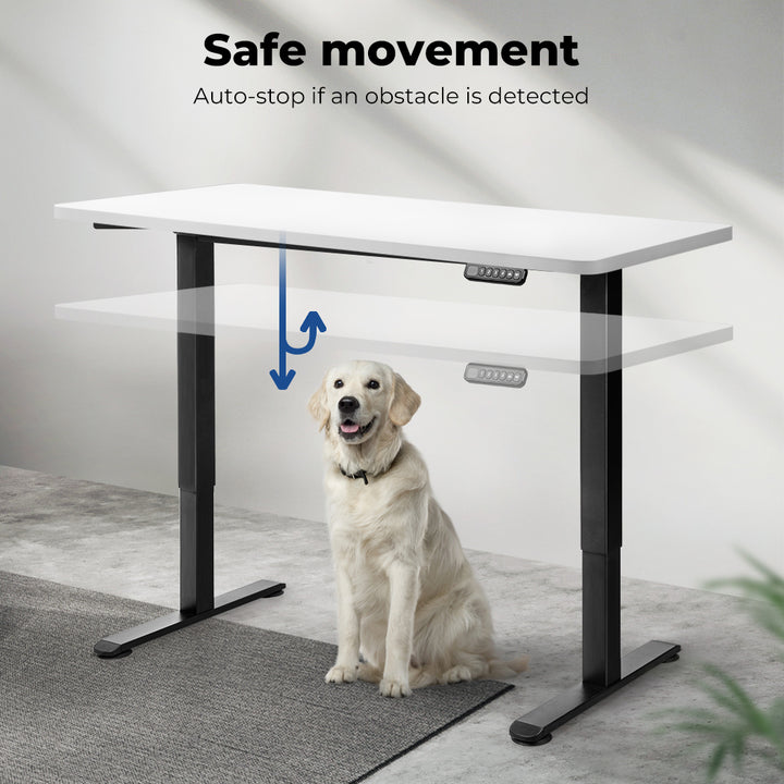 Motorised Standing Desk Adjustable 140cm