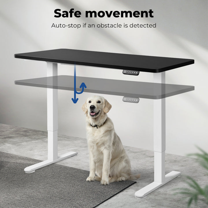 Motorised Standing Desk Adjustable 140cm.