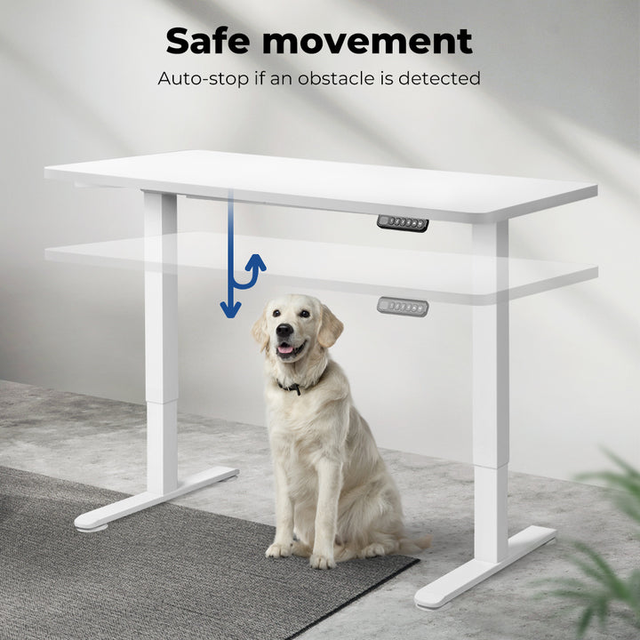 Motorised Standing Desk Adjustable 120cm 800x 1.5MM