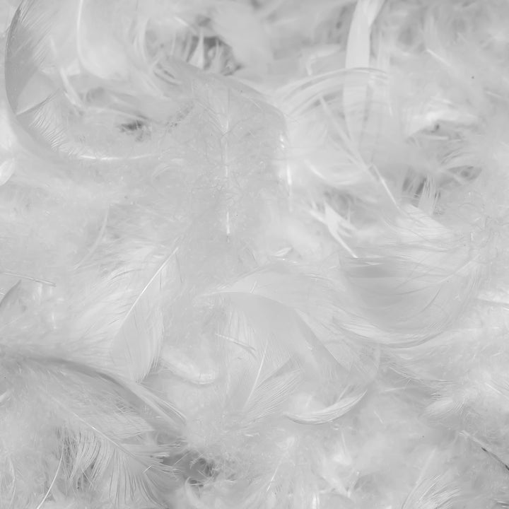 Pillows Inserts Cushion Soft.
