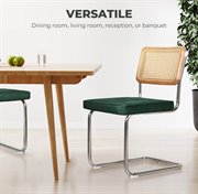 Levede 2xRattan Chair Dining Chairs Green