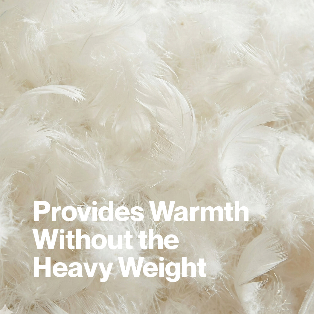 DreamZ 700GSM All Season Goose Down Duvet
