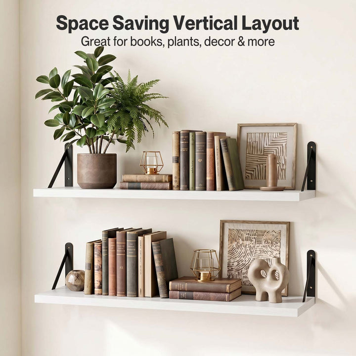 Floating Wall Shelves 2Pcs Deep Wall Mounted Display Book Shelf Bedroom