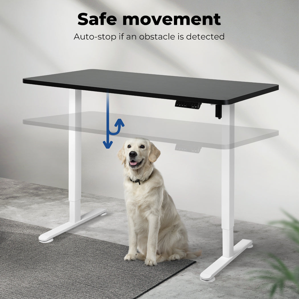Motorised Standing Desk Frame Single Motor