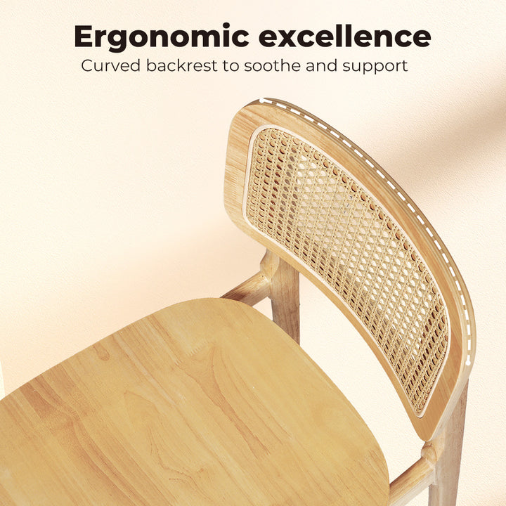 Rattan Dining Chairs Wooden Accent Chair Kitchen Lounge Cafe Armless