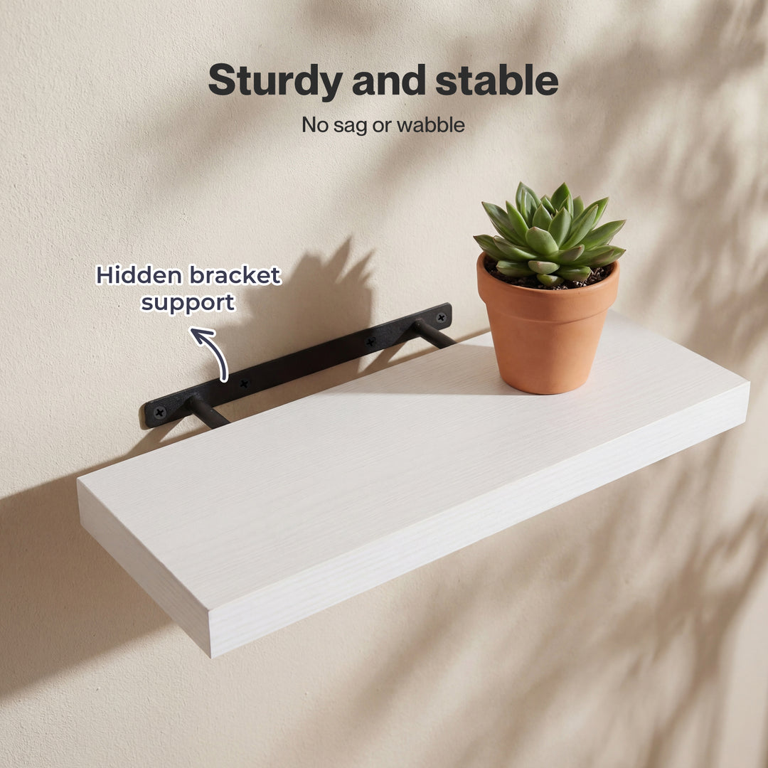 Floating Wall Shelf 2 & 3 PCS Wall Mounted Shelves Book Display Storage Rack