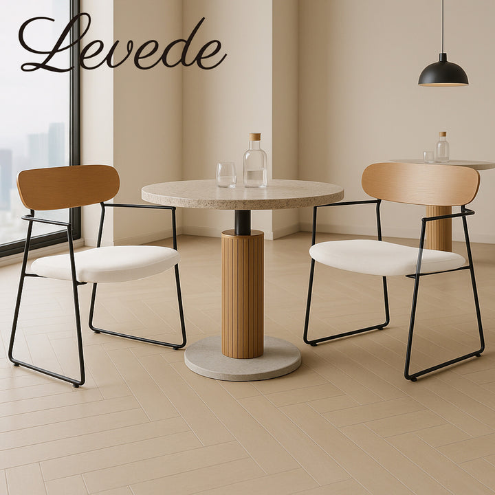 2x Dining Chairs Padded Armchair Soft Upholstered Metal Leg with Arms