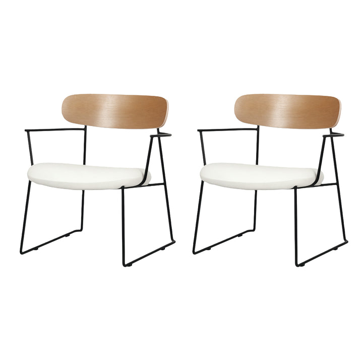 2x Dining Chairs Padded Armchair Soft Upholstered Metal Leg with Arms